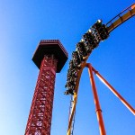 Tatsu at Six Flags Magic Mountain. Photo (c) 2013 Great american Thrills and Kris Rowberry