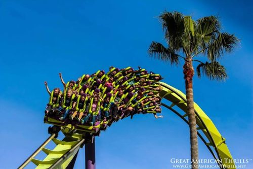 1185476_10151984762992286_562261998_n