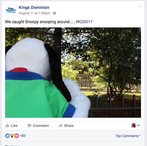 14030619_10154267595696023_1081570843_n